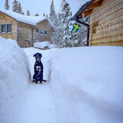 11_meterhoch_schnee_schweden